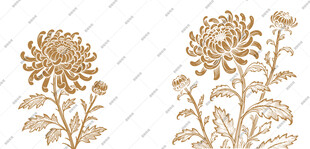 金色菊花花卉图案元素