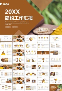 中医中药行业总结计划PPT