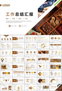 中医中药行业总结计划PPT