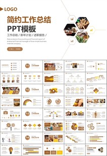 中医中药行业总结计划PPT