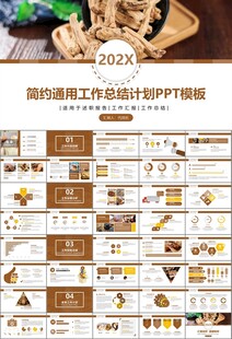 中医中药行业总结计划PPT