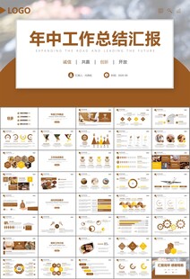 中医中药行业总结计划PPT