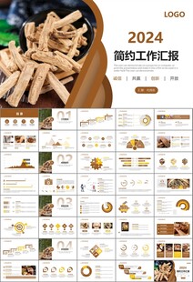 中医中药行业总结计划PPT