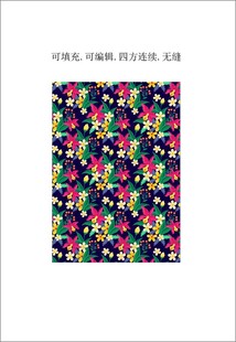 彩色花卉图案 女装印花