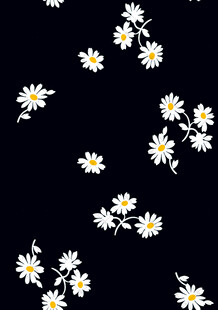 黑色背景上的小雏菊图案