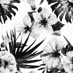 黑白花卉图案设计