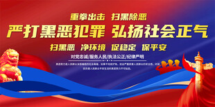 扫黑除恶弘扬社会正气展板