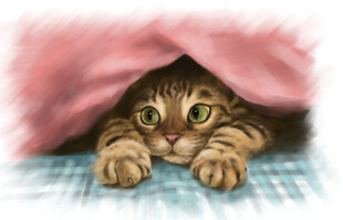 躲在布下的好奇小猫