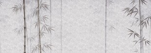 杜邦纸竹子纹理贴图