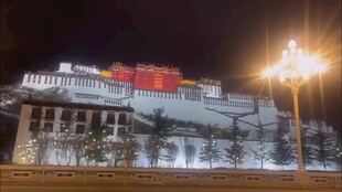 夜幕下的布达拉宫