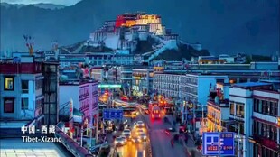 夜幕下的布达拉宫及街道