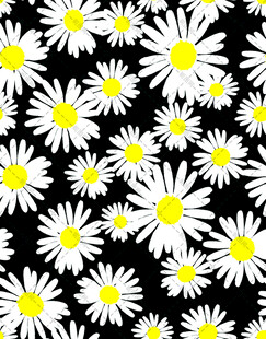 黑白雏菊图案背景