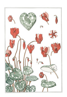 手绘仙客来花卉图案