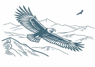 雄鹰翱翔于山峦之上