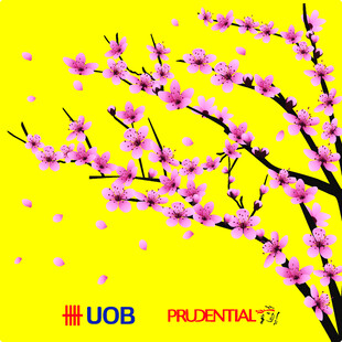 粉色桃花绽放于黄色背景