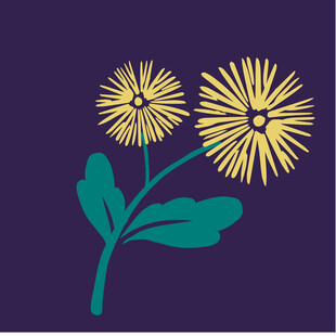 蓝色背景上的黄色花朵图案