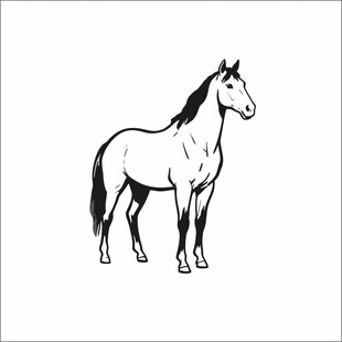 简约线条风格黑白马手绘插画矢量