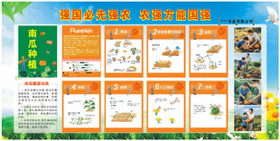 南瓜种植展板卡通图不可修修