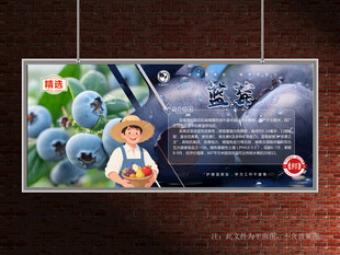 蓝莓展板