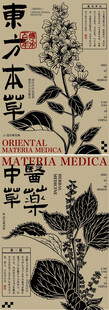 中式古风本草插画图案