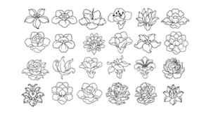 手绘花卉图案集合