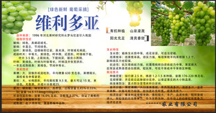 维利多亚产品宣传页