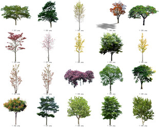 免扣高清景观树莲花植物花卉贴图