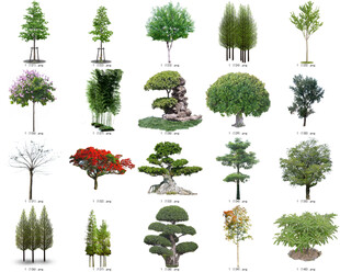 免扣高清景观树莲花植物花卉贴图