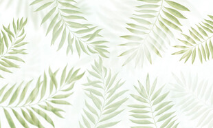 植物玻璃背景墙壁纸