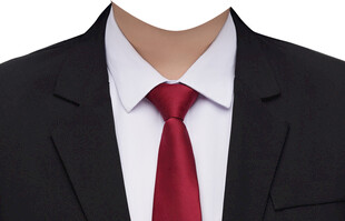 女红领带西装正装职业装素材