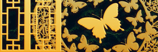 中式金蝶图案