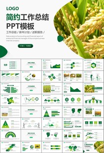 水稻农田农业种植大米PPT模板