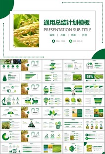 水稻农田农业种植大米PPT模板
