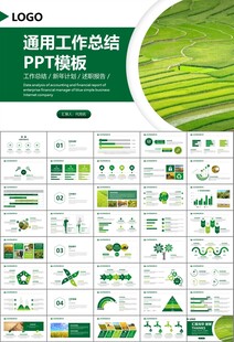 水稻农田农业种植大米PPT模板
