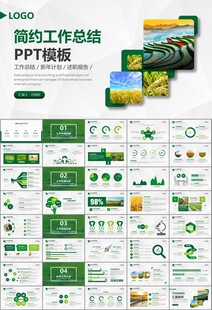 水稻农田农业种植大米PPT模板