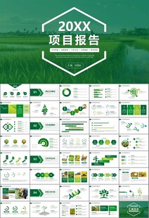水稻农田农业种植大米PPT模板