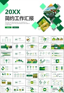 水稻农田农业种植大米PPT模板