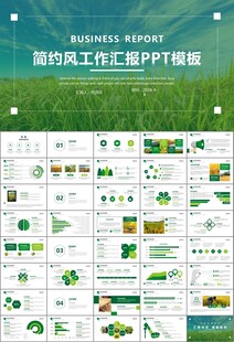 水稻农田农业种植大米PPT模板