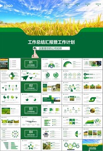 水稻农田农业种植大米PPT模板