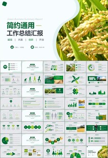水稻农田农业种植大米PPT模板