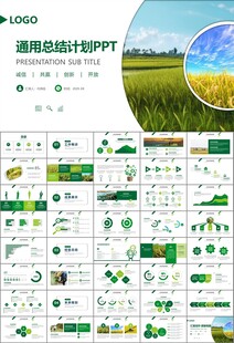 水稻农田农业种植大米PPT模板