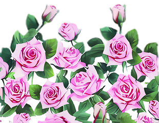 粉色玫瑰花丛图案