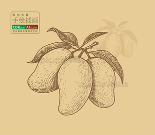 手绘芒果矢量线稿图