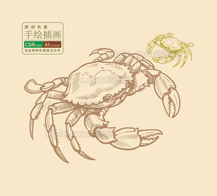 手绘矢量大闸蟹