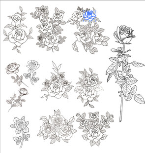 手绘玫瑰 花卉图案设计素材