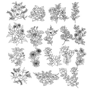 手绘植物花卉图案集合