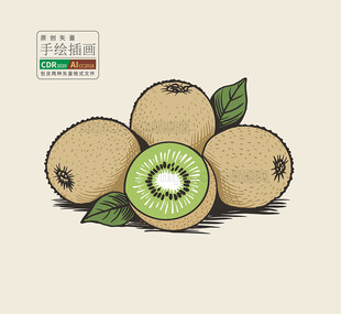 手绘猕猴桃矢量图