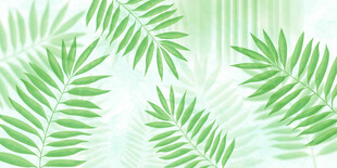 热带绿植树叶背景墙