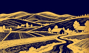 金色田园风光乡村美景