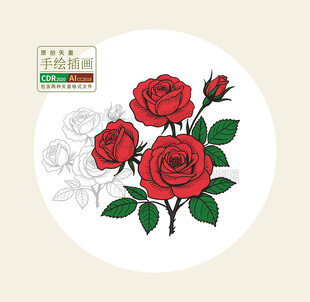 手绘矢量玫瑰花图案
